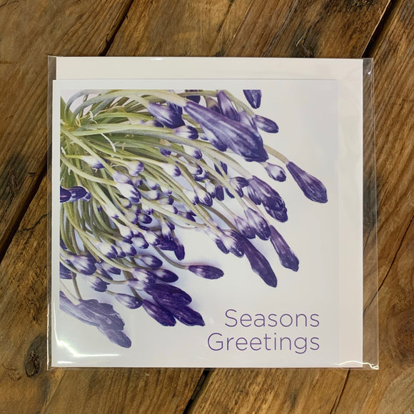 Seasons Greetings card plus envelope
